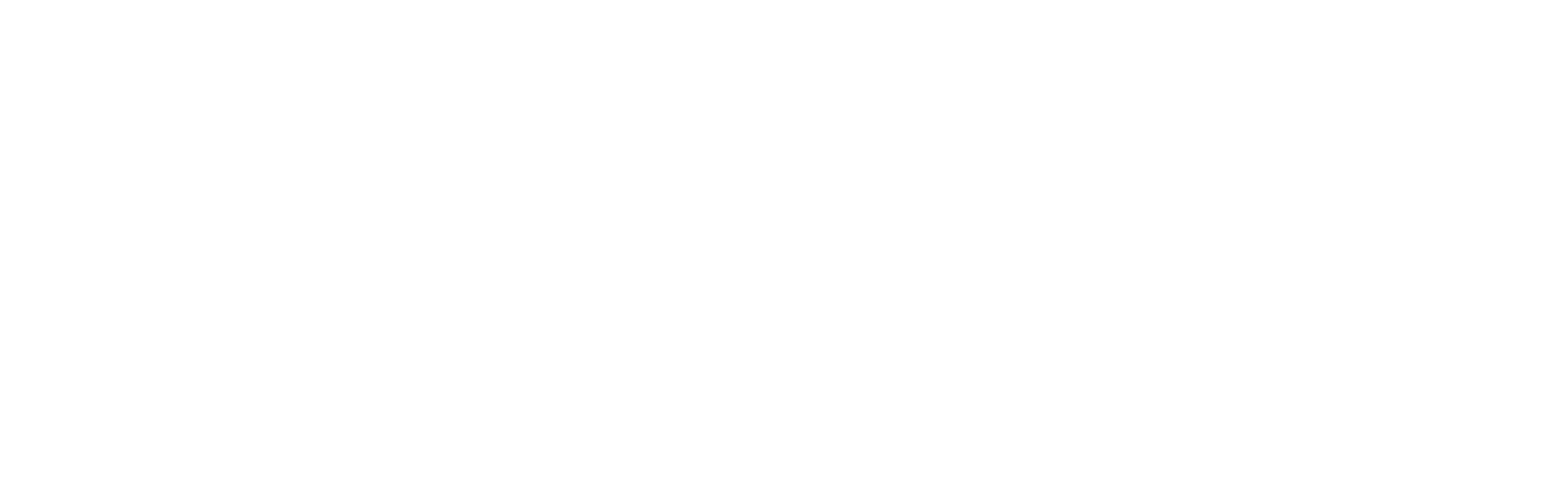 Elite CCW